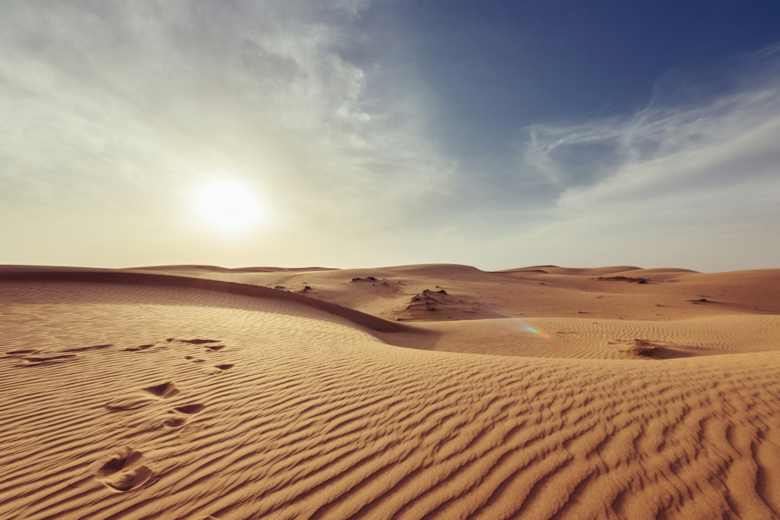 rippled desert dunes under a low sun