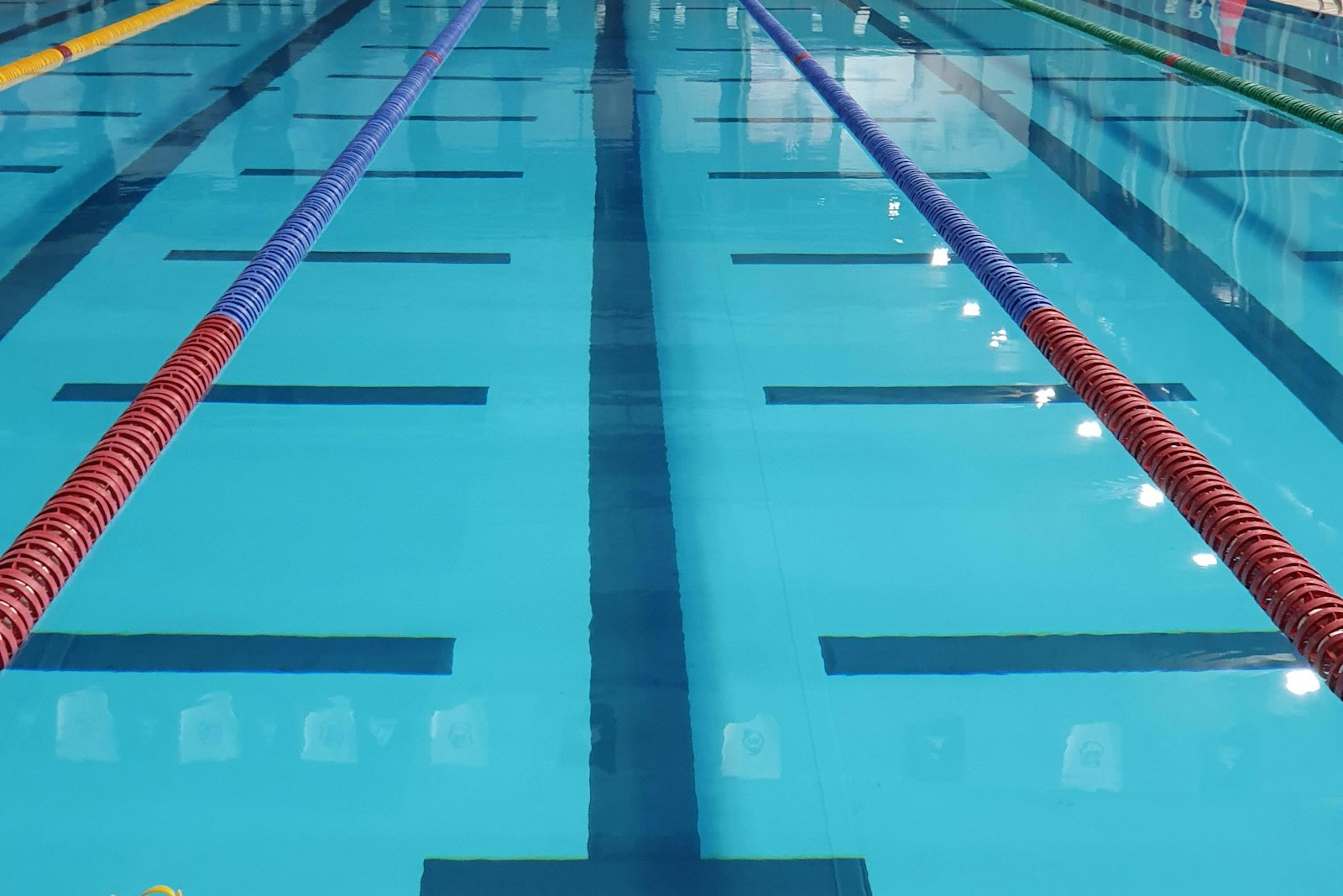 a calm resort pool beside the courts